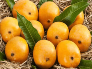 Mangoes in Surat