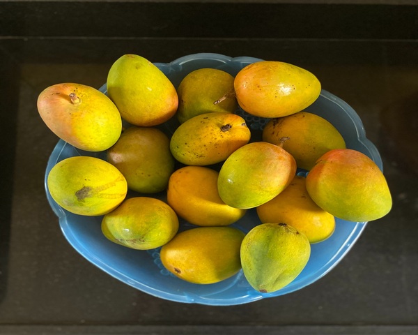 Alphonso mangoes in Delhi