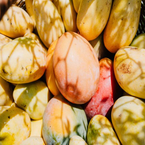 buy mangoes online bangalore- Bookmymango