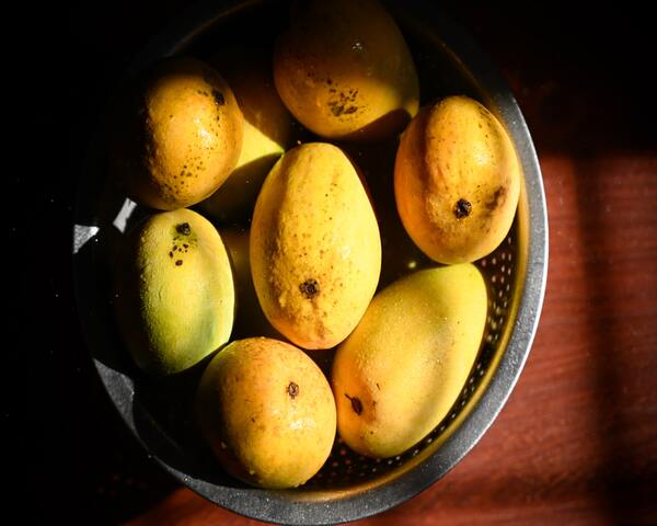 Alphonso mangoes in Ahmedabad